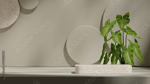 in landscape circles backdrop, 3d image render scene mockup black color empty space