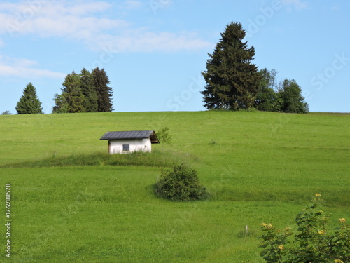 Wiese und Himmel