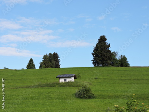 Wiese und Himmel