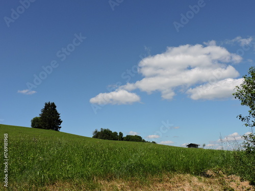 Wiese und Himmel