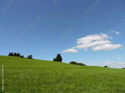Wiese und Himmel