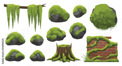 Diverse collection of natural and architectural elements covered in vibrant green moss, including rocks, a tree stump, and hanging tendrils.