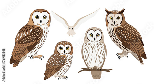 A diverse collection of charming cartoon owls, including barn, long-eared, and other species, depicted in various poses on a white background.