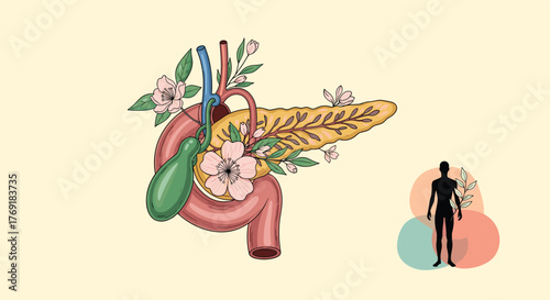 Stylized illustration of pancreas, duodenum, and gallbladder with botanical elements, alongside a human silhouette, symbolizing health and natural wellness.
