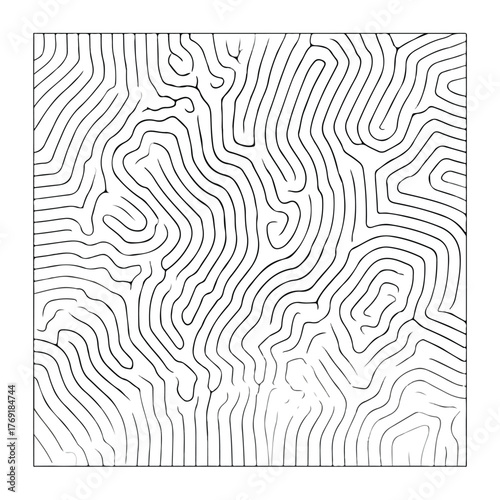 Sleek Abstract Line Minima Maze Art