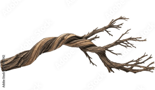 Gnarled dry twisted tree branch wood on a transparent background, PNG image, PNG file