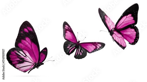 Three vibrant pink butterflies gracefully fluttering in a bright white background, showcasing their delicate wings and intricate patterns, perfect for nature-themed projects or educational materials