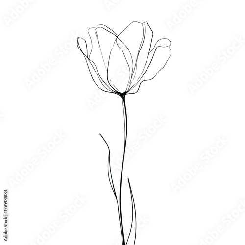 Elegant single line tulip illustration design
