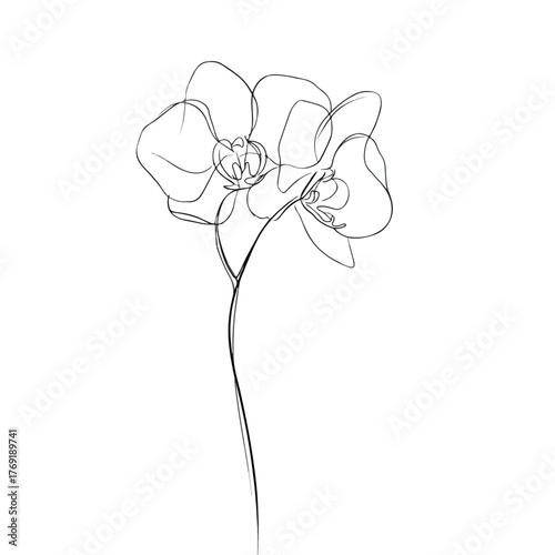 Elegant Orchid Continuous Line Art Illustration