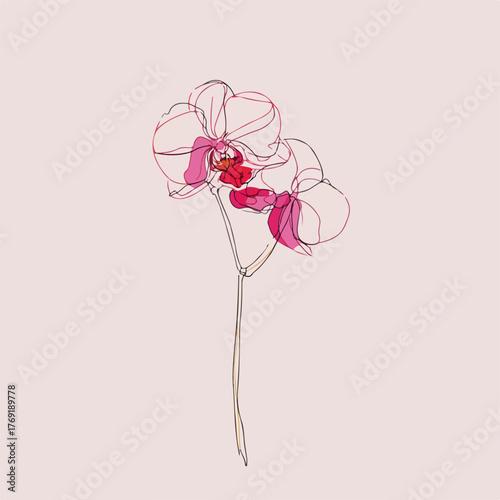 Elegant Orchid Continuous Line Art Illustration