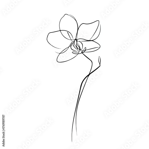 Elegant Orchid Continuous Line Art Illustration