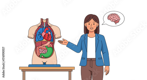 Human Anatomy Insights: Exploring the Body's Systems With Educational Illustration