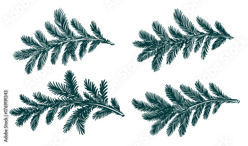 Christmas green tree branch set, hand drawn	
