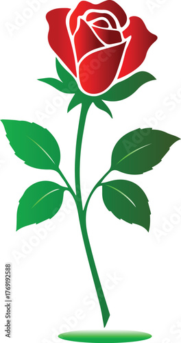 A rose flower vector with white background