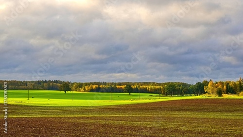 Rural landscape with green fields and an autumn forest under a dramatic cloudy sky with sunbeams. The foreground features a freshly plowed field with new growth