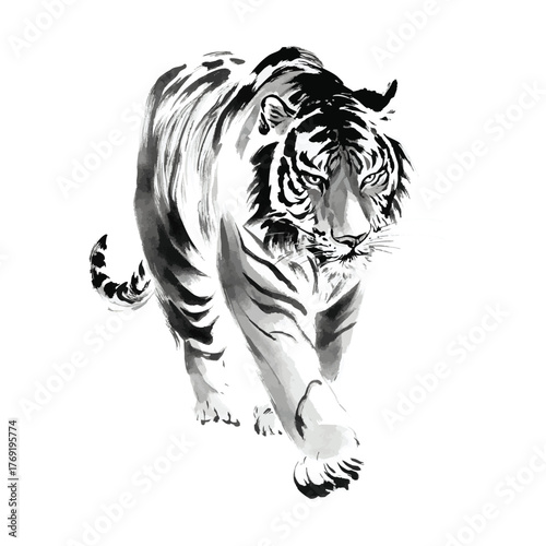 Chinese ink painting tiger lines isolated on wihte background