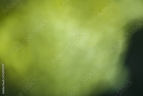 BACKGROUND, TEXTURE - Surface in green shadows and lights