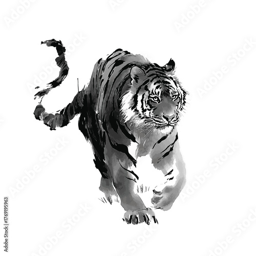Chinese ink painting tiger lines isolated on wihte background