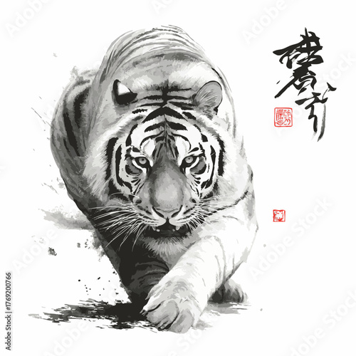 Chinese ink painting tiger lines isolated on wihte background