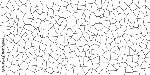 Intricate Voronoi Cell Structure with Black Outline and White Fill, Abstract Geometric Background pattern