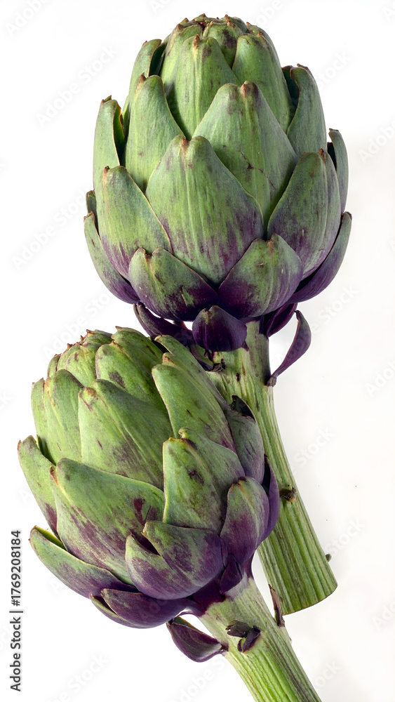 Obraz premium Fresh Globe Artichokes Vertical Composition 