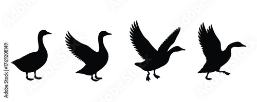 Elegant goose silhouettes showcasing graceful movement and freedom, perfect for nature designs or wildlife projects, evoking serenity and natural beauty, ideal for logos and brand assets