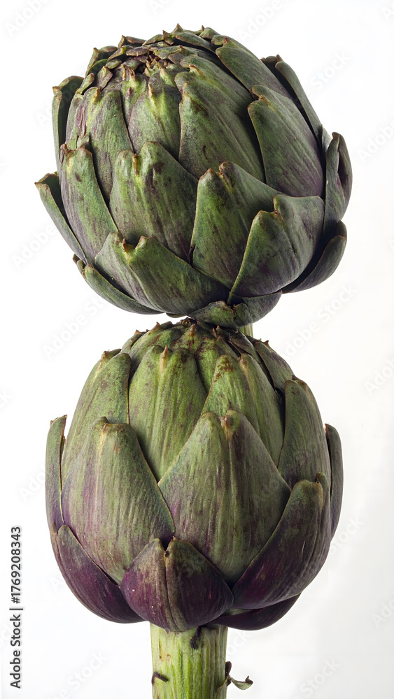 Fototapeta premium Two Raw Artichoke Buds with Green and Purple Leaves 