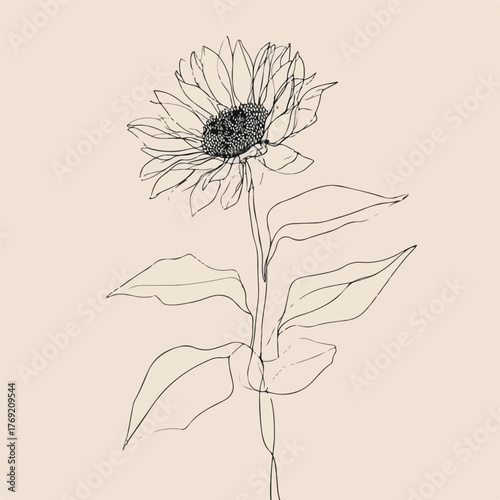 Elegant single line sunflower with abstract leaves