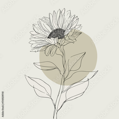 Elegant single line drawing of sunflower