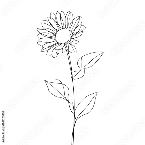 Sunflower with Continuous Minimalist Line Art