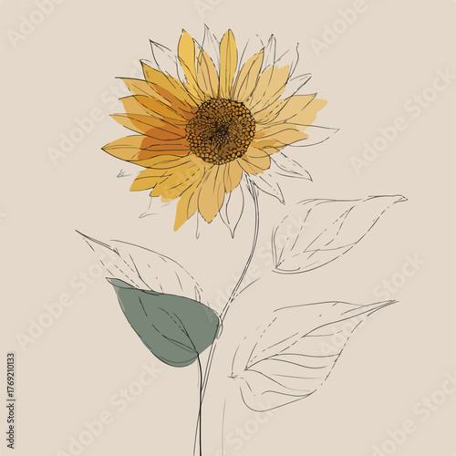 Elegant sunflower single line drawing art
