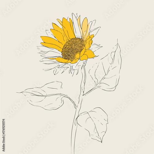 Elegant Single Line Sunflower Illustration