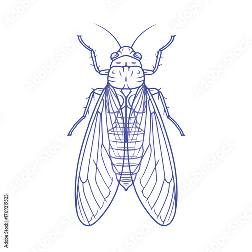 Elegant Flea Line Art in Flat Vector Style