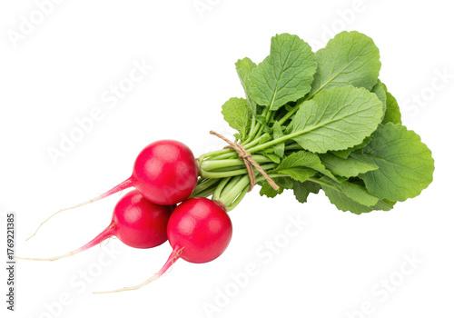 Obraz na plátně Isolated radish bunch with leaves, raw fresh vegetables, vegetarian harvest prod