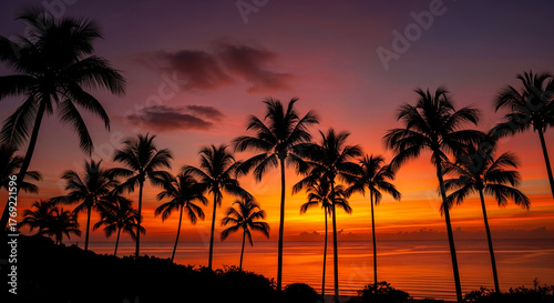 Tropical Sunset Silhouette of Palm Trees Ocean Background