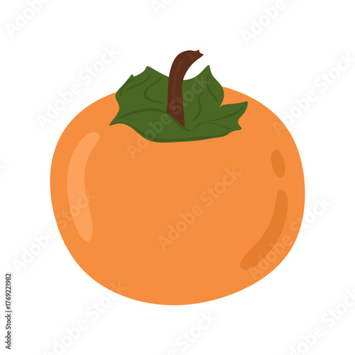 Persimmon fruit. Exotic tropical fruit, ripe organic eating. Fresh natural food, vitamin nutrition. Persimon icon in colored flat style, isolated on white background. Vector illustration