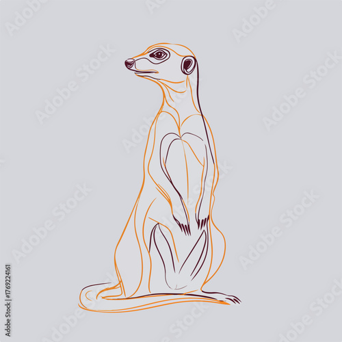 Sleek Meerkat Line Art Illustration