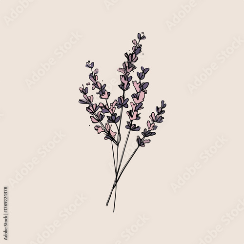 Elegant Lavender Line Art Illustration