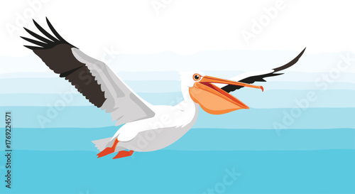 An American white pelican, with its distinctive orange beak wide open, soars gracefully above serene blue waters.