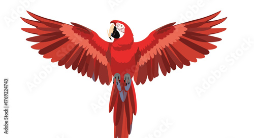 Vibrant scarlet macaw in graceful flight with wings spread wide against a pristine white background.