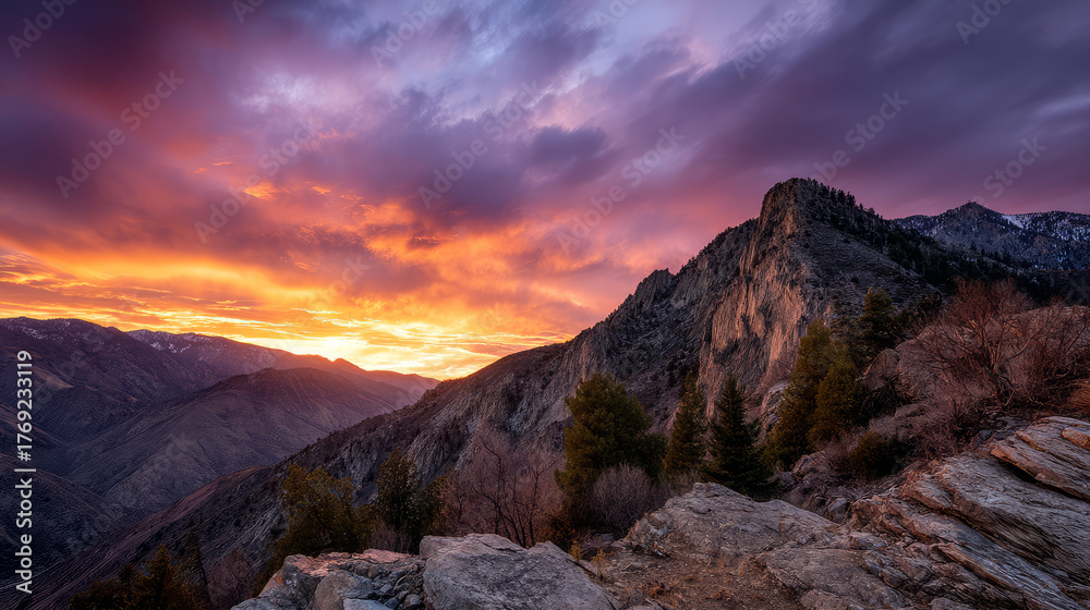 Fototapeta premium Mountain view above clouds flowers and blooming bushes at sunset sunbeams. Calm close-up beautiful landscape, screensaver background, Beautiful panorama. Summer vacation, holiday, amazing nature.