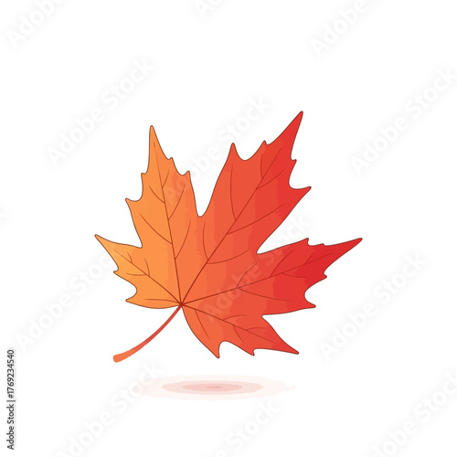 An illustration of a single, vibrant maple leaf, transitioning from orange to red, isolated on a white background.