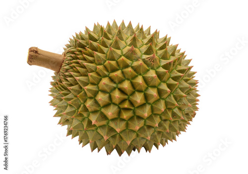 Isolated close-up of a ripe spiky durian fruit with stem and bumpy texture on surface