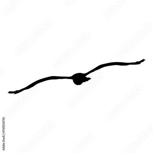 Flying Seagull Vector Silhouette Illustration