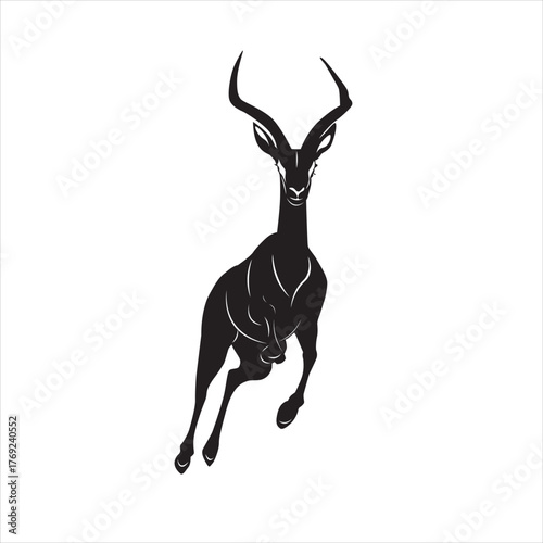 This is a deer