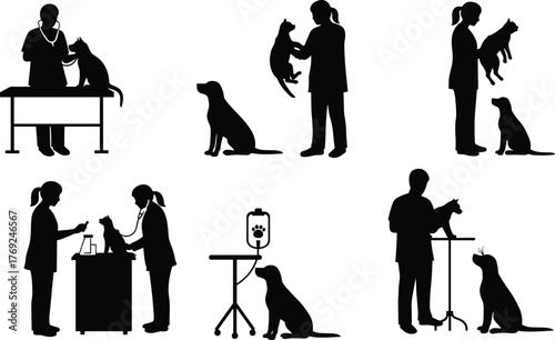 Silhouette of veterinarians examining dogs and cats, pet healthcare illustration, veterinary clinic animal care concept, doctor treating pets vector