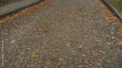 Cobblestone path with autumn leaves, steady ground POV walk