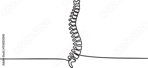 Continuous one line drawing of human spine, minimalist anatomy vector illustration