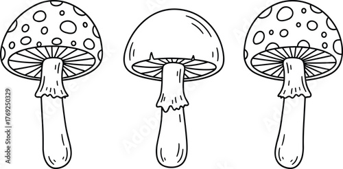 Three cartoon mushrooms black and white line drawing, cute toadstool fungus illustration for coloring page, forest nature art design