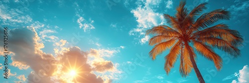 Bright sunset over palm trees creates a tropical paradise atmosphere in warm sunshine
